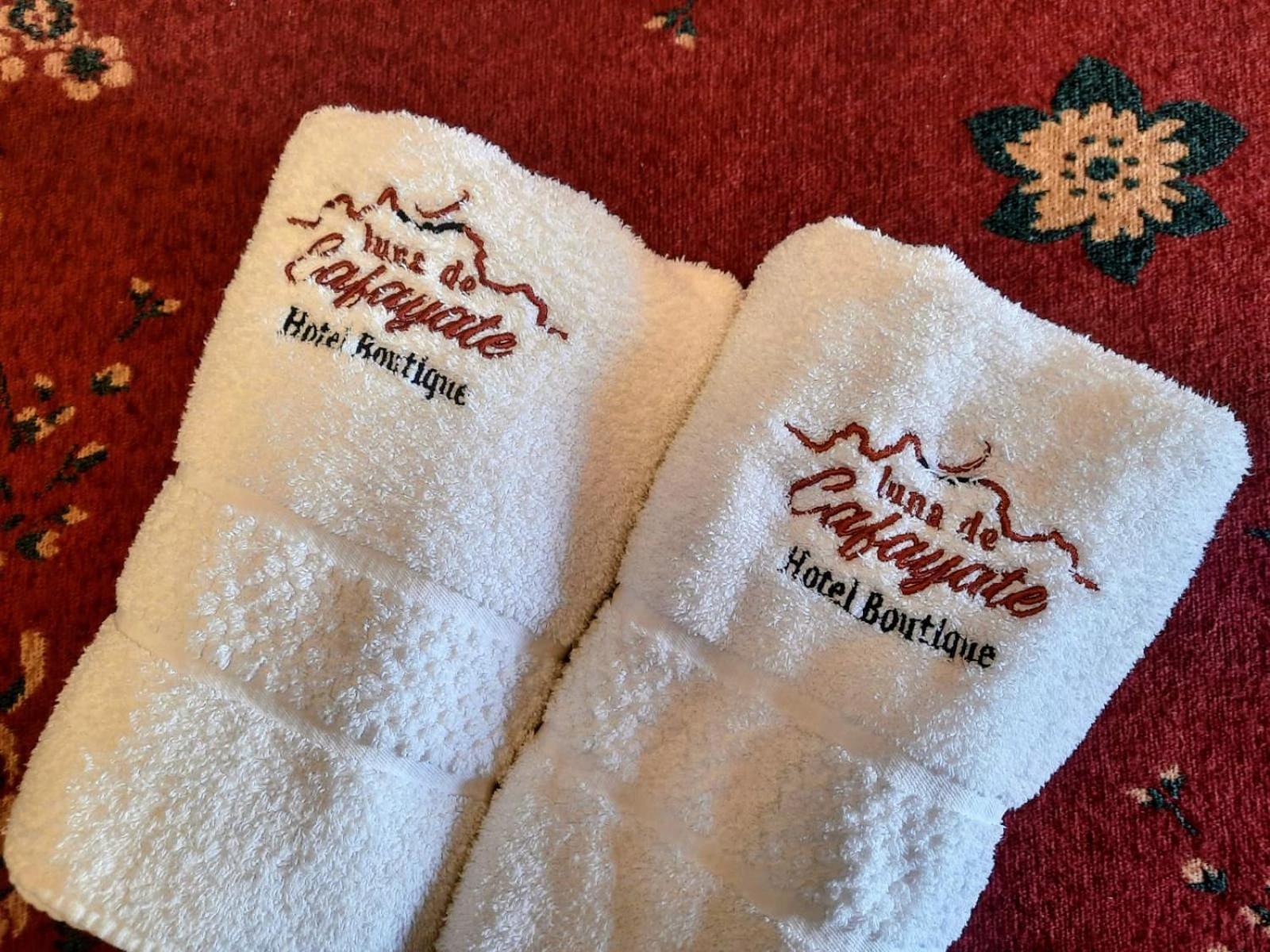 Luna De Cafayate Hotel Boutique Zewnętrze zdjęcie