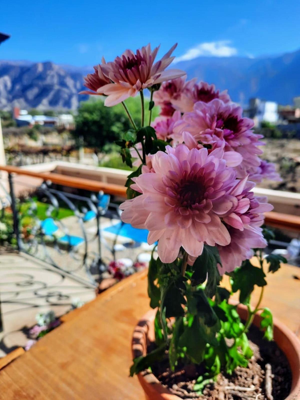 Luna De Cafayate Hotel Boutique Zewnętrze zdjęcie
